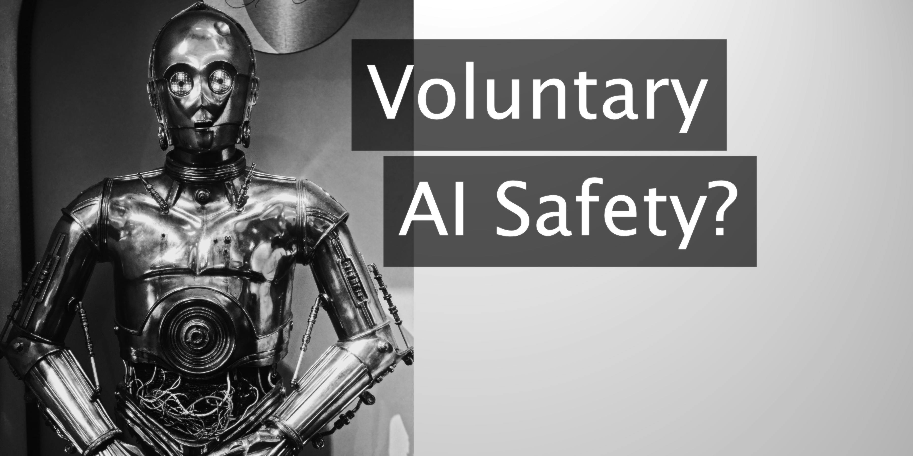 Cover image for Voluntary AI Safety?